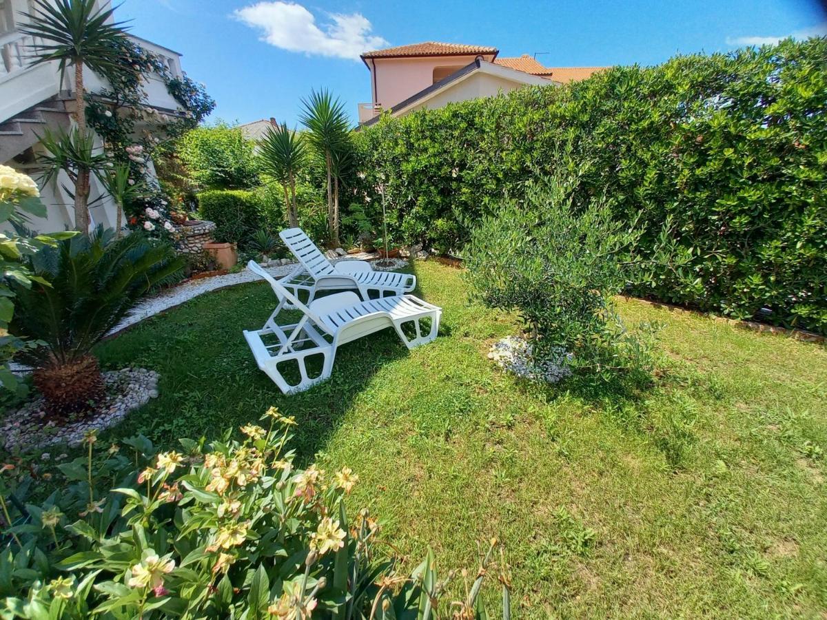 Apartmani Dijana Palit Esterno foto